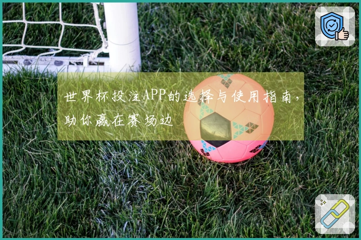 世界杯投注APP的选择与使用指南，助你赢在赛场边