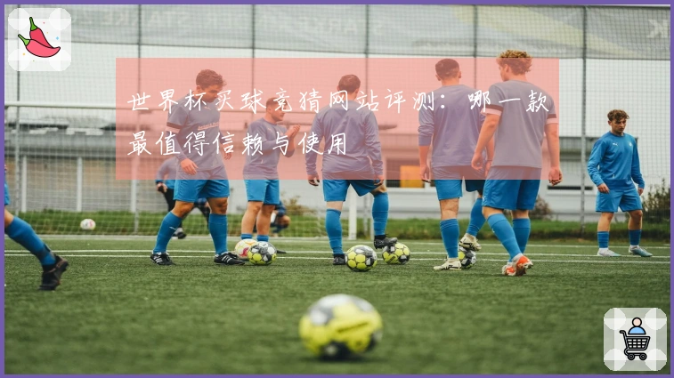 世界杯买球竞猜网站评测：哪一款最值得信赖与使用