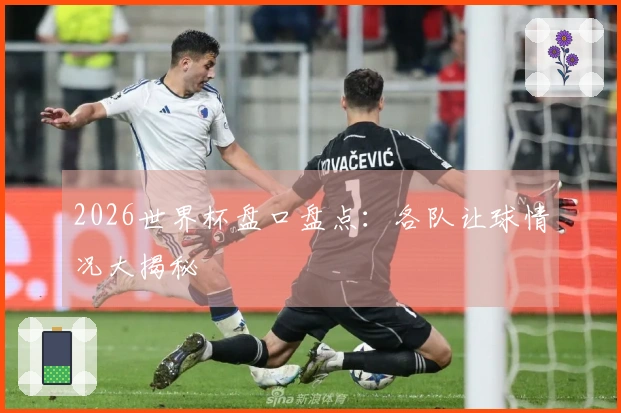 2026世界杯盘口盘点：各队让球情况大揭秘