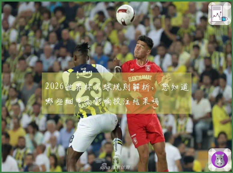 2026世界杯买球规则解析，您知道哪些细节会影响投注结果吗