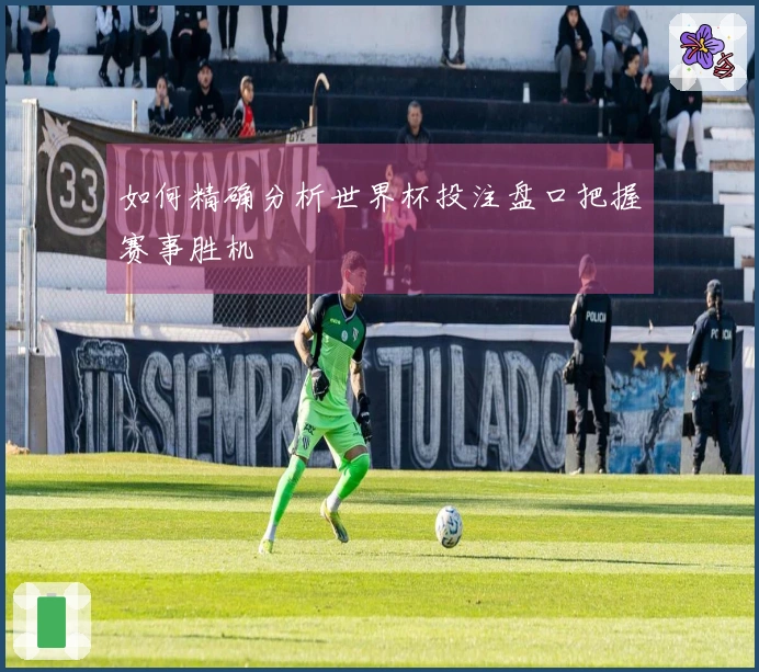 如何精确分析世界杯投注盘口把握赛事胜机