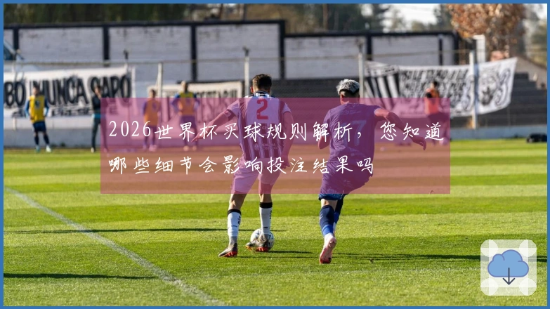 2026世界杯买球规则解析，您知道哪些细节会影响投注结果吗