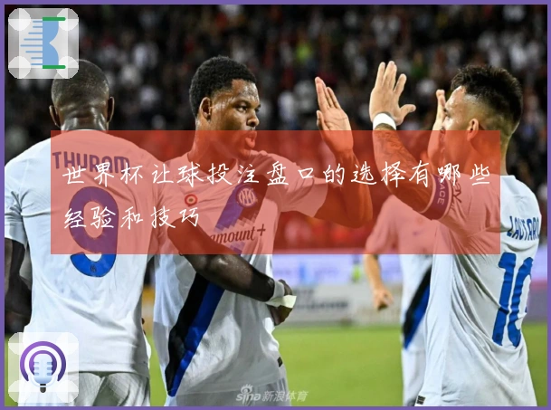 世界杯让球投注盘口的选择有哪些经验和技巧