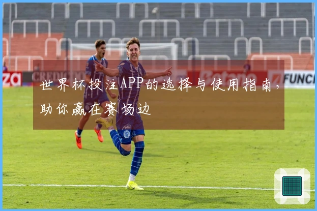 世界杯投注APP的选择与使用指南，助你赢在赛场边