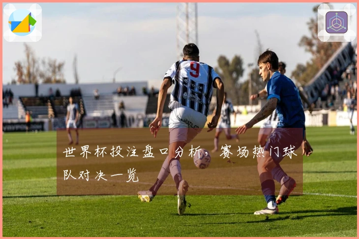 世界杯投注盘口分析，赛场热门球队对决一览