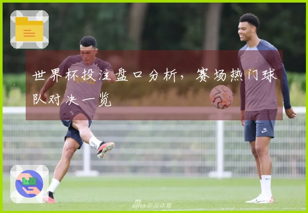 世界杯投注盘口分析，赛场热门球队对决一览