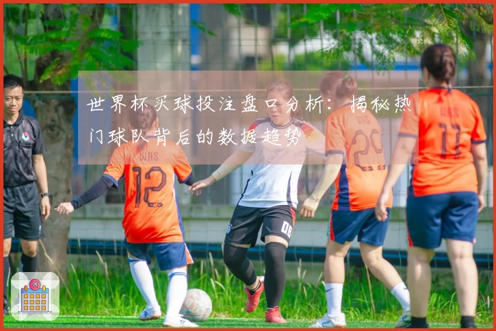 世界杯买球投注盘口分析：揭秘热门球队背后的数据趋势