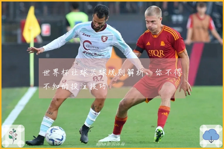 世界杯让球买球规则解析，你不得不知的投注技巧