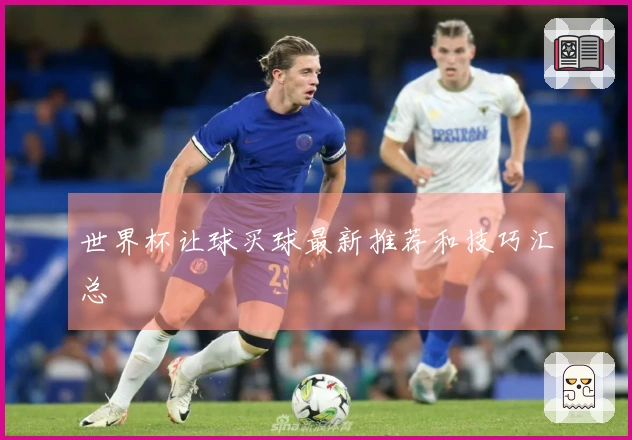 世界杯让球买球最新推荐和技巧汇总