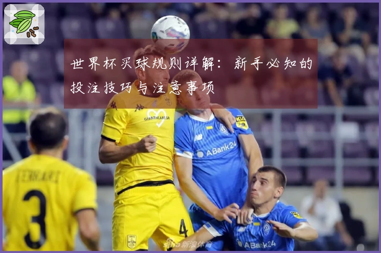 世界杯买球规则详解：新手必知的投注技巧与注意事项